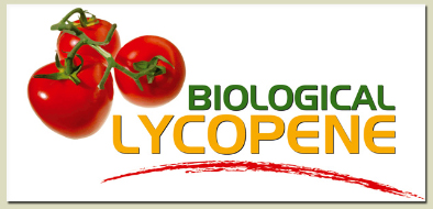 Lycopene manufacturing suppliers to Miami Florida and all the United States of America... Italian biological and organic Lycopene designed and made in Italy with the most powerful red tomatoes... Biological lycopene may prevent prostate cancer, heart disease and other forms of cancer... Biological Lycopene manufacturing solutions to the worldwide health care distribution market..