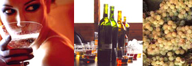 Imbottigliamento del vino... Blog dedicato alla Produzione di grandi Vini italiani, definito da Alessandra Capogna, a supporto della industria del vino italiano... i vini della citta' di Montalcino (toscana) vengono raccontati per una platea attenta ed esperta del buon vino prodotto da noi... e per i buon gustai del vino italiano nel mondo... Invia un tuo articolo indicandoci la tua capacita' produttiva e/o consocenza dell'enologia Italiana...
